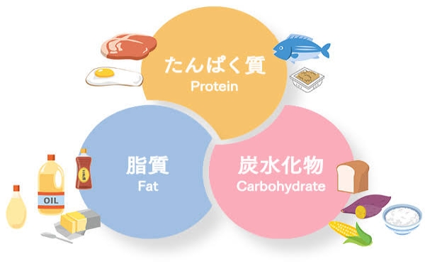 つつじヶ丘 パーソナルジムXingfuが痩せるための食事